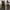 Flattering High-Waisted Wide-Leg Pants for Women – Sophia