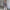 Sophisticated Business Set with Tailored V-Neck Blazer – Grace
