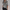 Printed Women’s Casual Shirt with a Stylish Flair – Grace