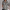 Printed Women’s Casual Shirt with a Stylish Flair – Grace