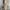 Relaxed Long Sleeve Shirt & Shorts Set for Everyday Wear – Emma