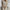 Relaxed Long Sleeve Shirt & Shorts Set for Everyday Wear – Emma