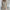 Relaxed Long Sleeve Shirt & Shorts Set for Everyday Wear – Emma
