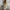 Relaxed Long Sleeve Shirt & Shorts Set for Everyday Wear – Emma