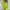Relaxed Long Sleeve Shirt & Shorts Set for Everyday Wear – Emma