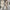Timeless Women's Two-Piece Suit Set, Versatile & Elegant – Sophia