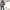 Elegant Wide-Leg Pants & Drapey Top Set, Polished Look – Olivia