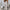 Trendy Casual Solid Color Irregular Women's Pants – Emma